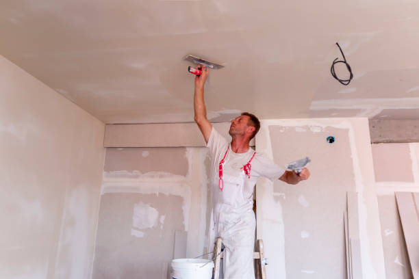 Best Custom Drywall Designs  in Wilmington Manor, DE